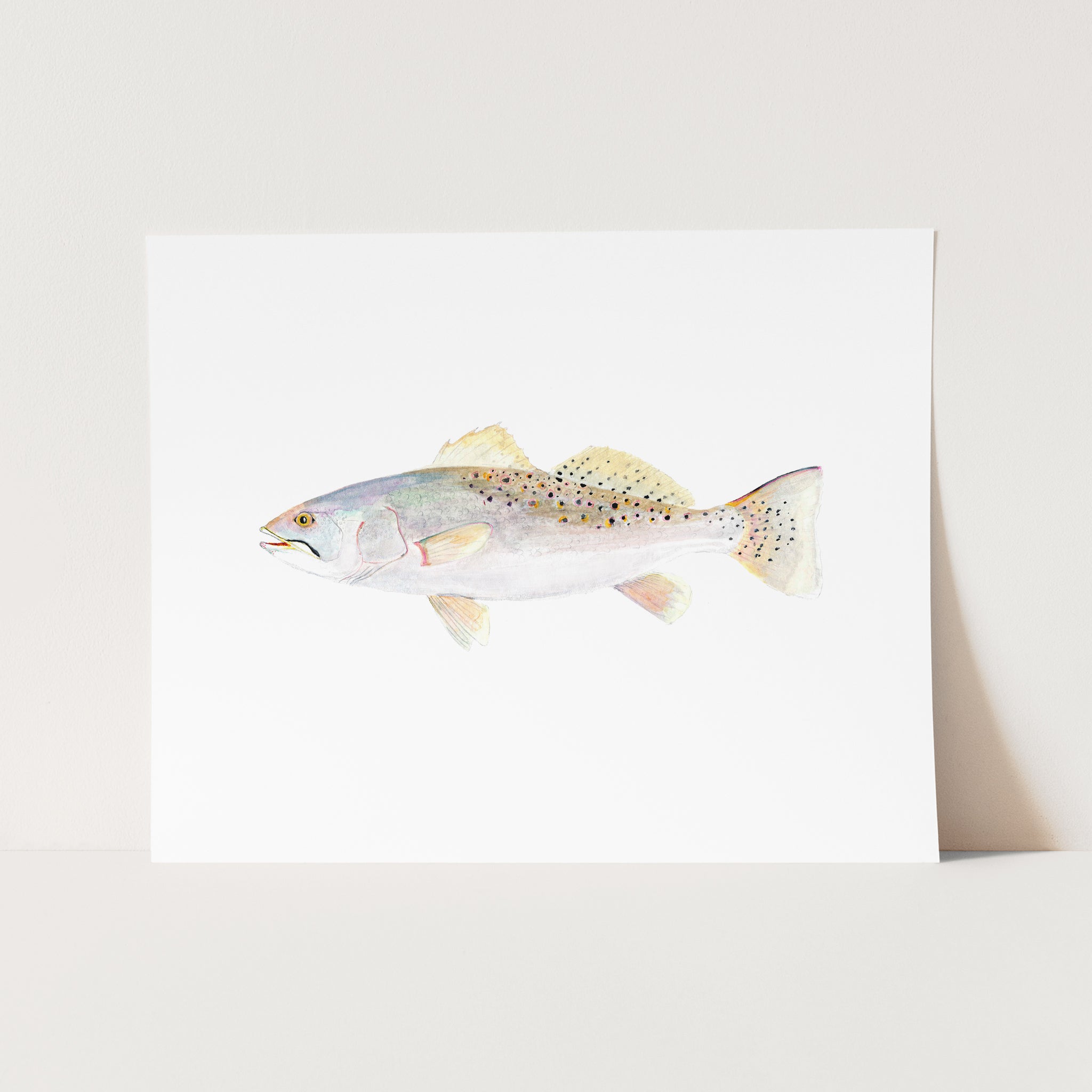 a painting of a fish on a white background