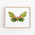 a painting of a green butterfly on a white background