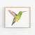 a watercolor painting of a hummingbird in flight