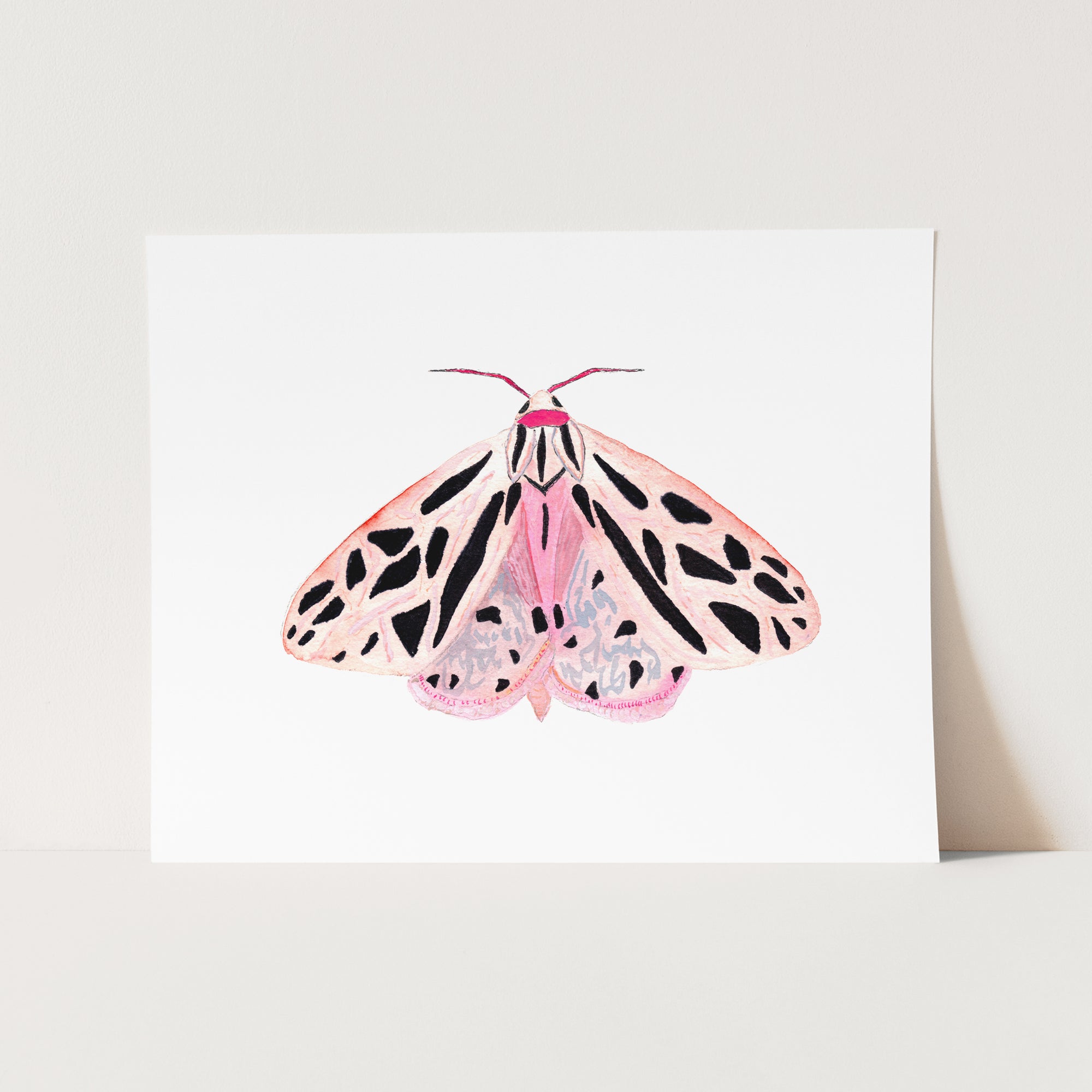 a card with a pink and black butterfly on it