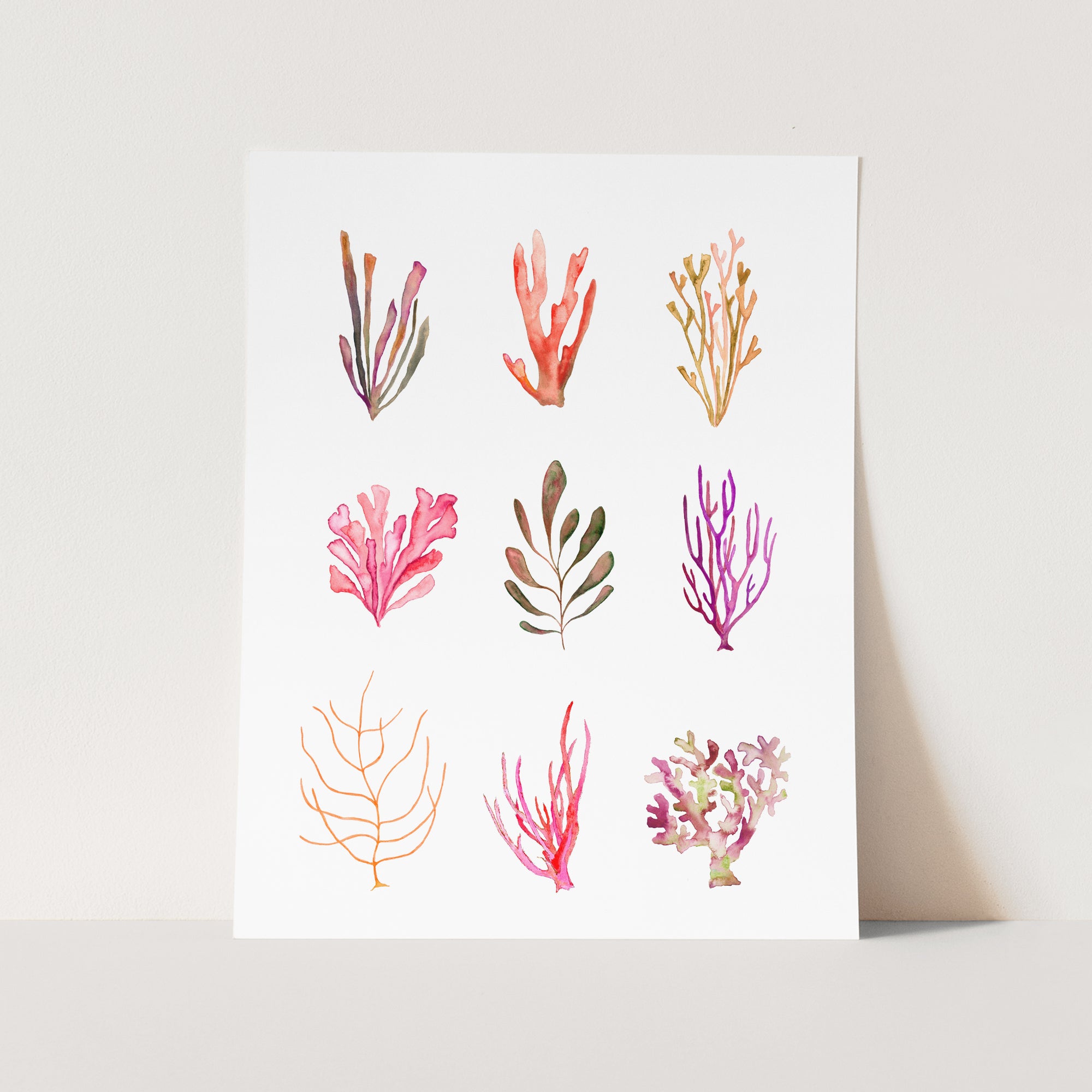 a card with a bunch of different plants on it
