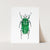 a green bug on a white background