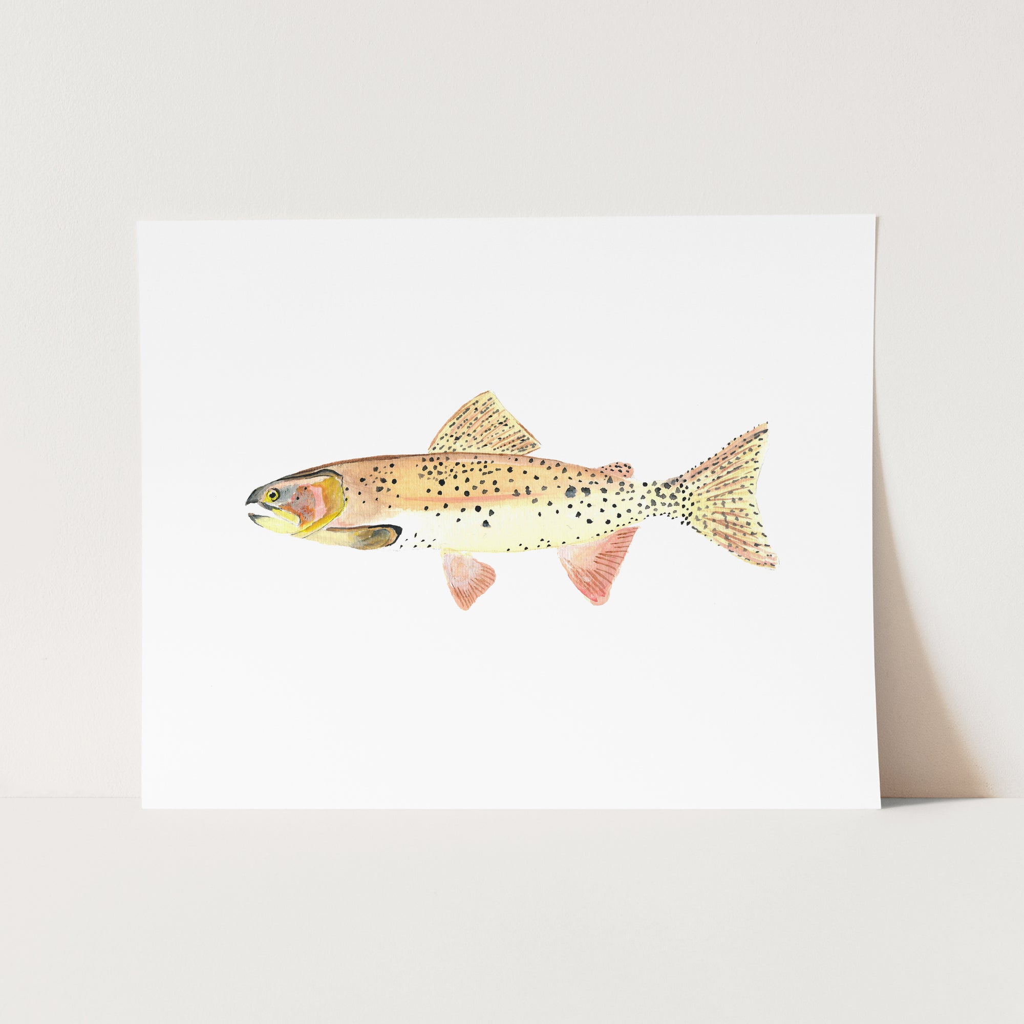 a card with a picture of a fish on it