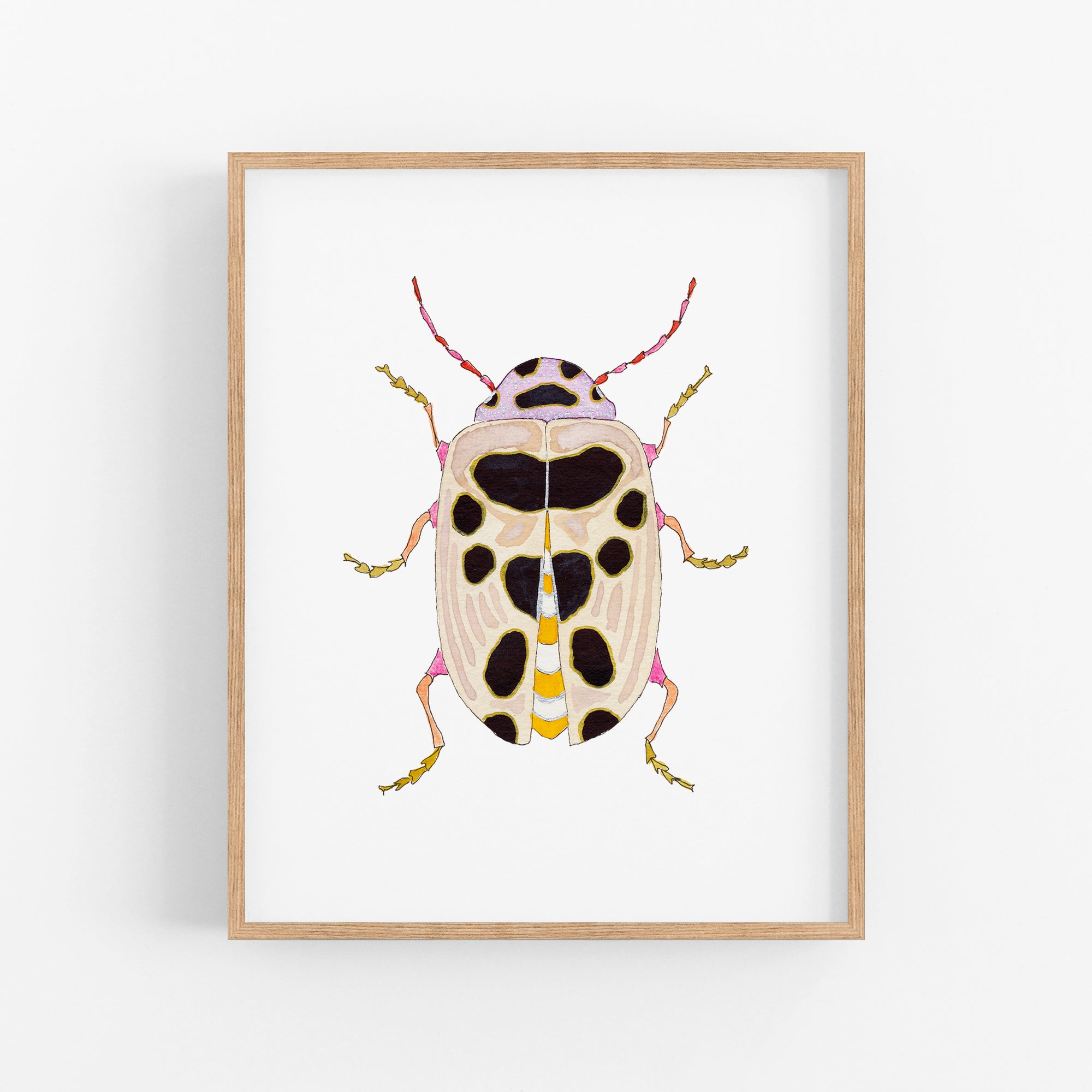 a card with a picture of a bug on it