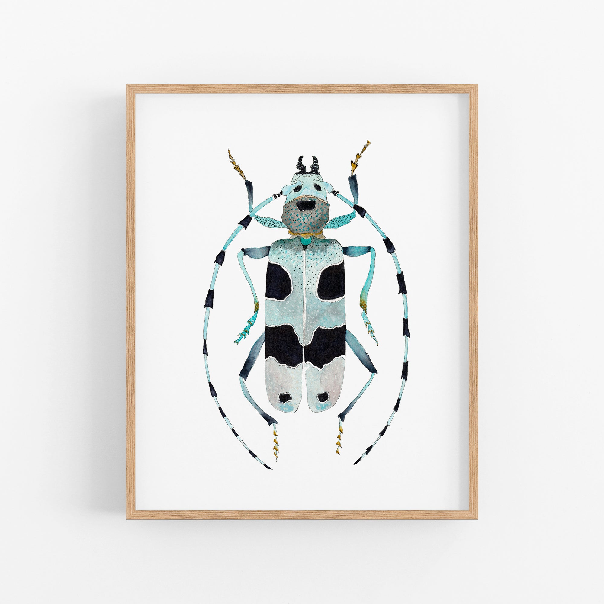 a picture of a bug on a white wall