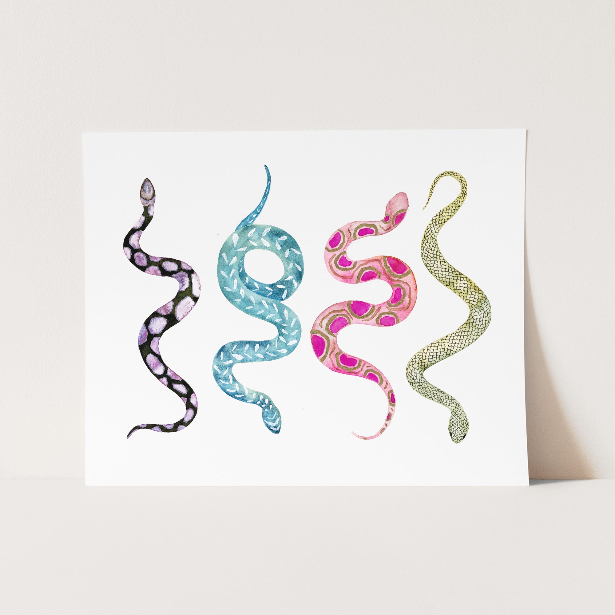 a picture of a snake on a white background