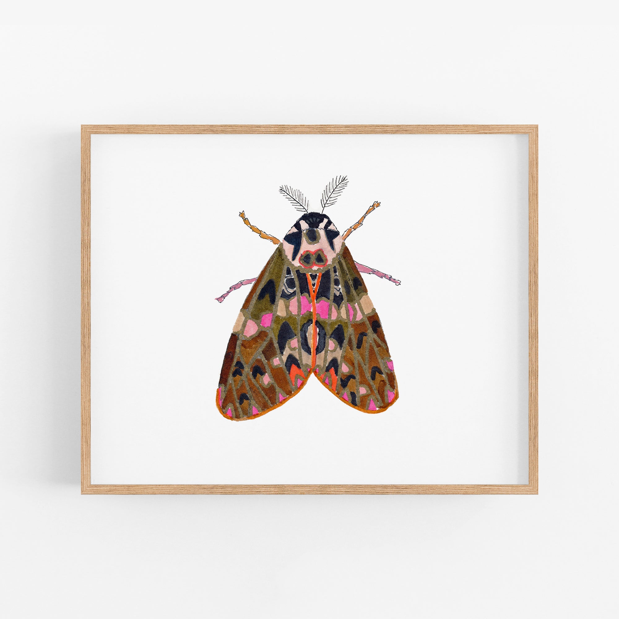 a picture of a moth on a white background