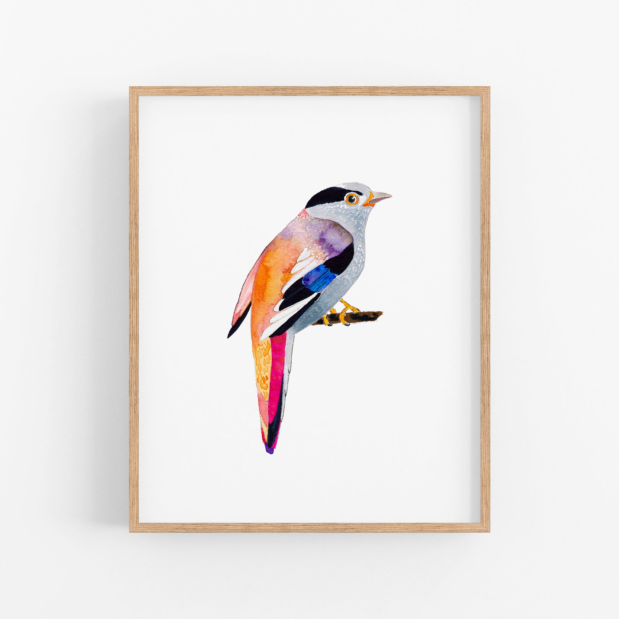 a colorful bird sitting on top of a wooden frame