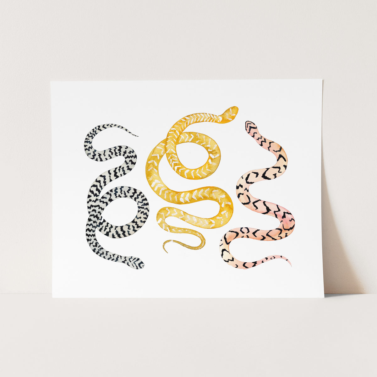 a picture of a snake on a white background