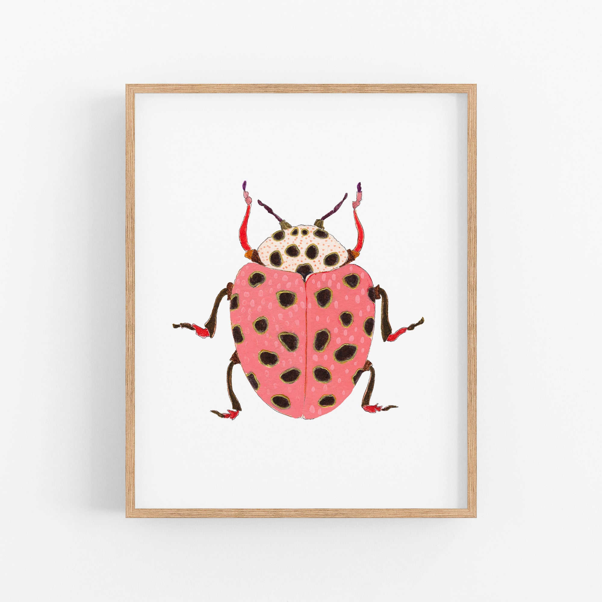 a picture of a pink and black bug on a white background