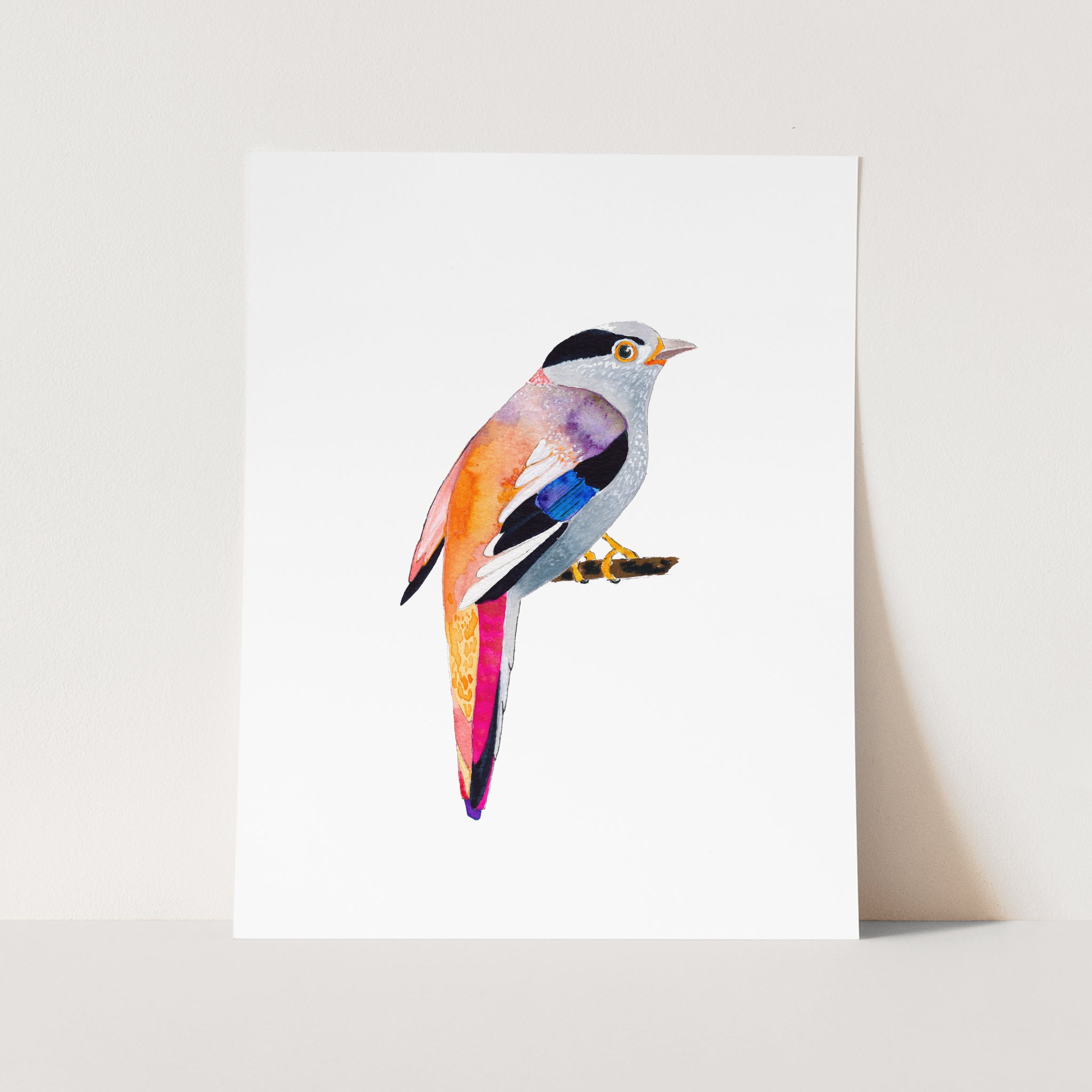 a colorful bird sitting on top of a white card