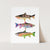 a painting of three fish on a white background