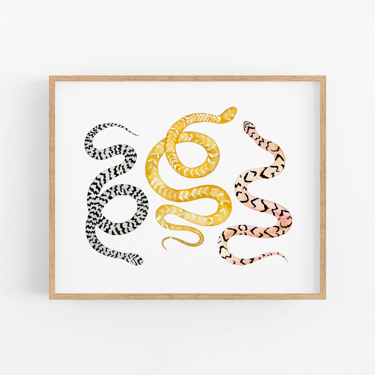 a picture of a snake on a white wall