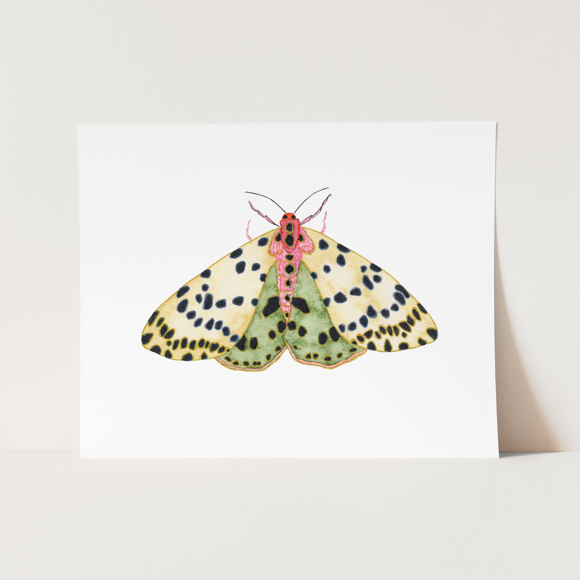 a white card with a green and black butterfly on it