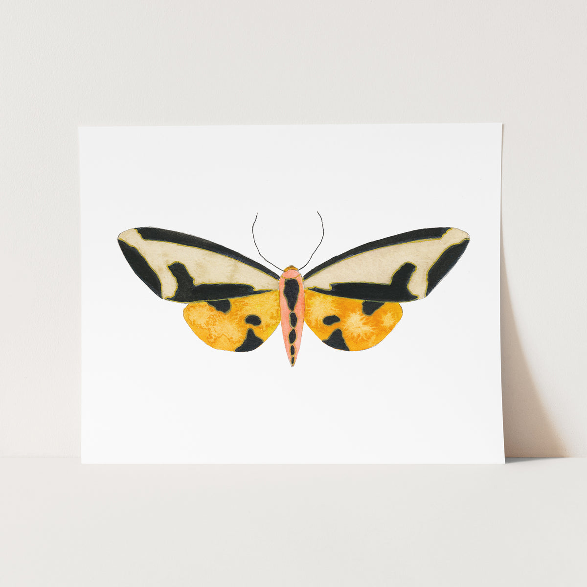 a yellow and black butterfly on a white background