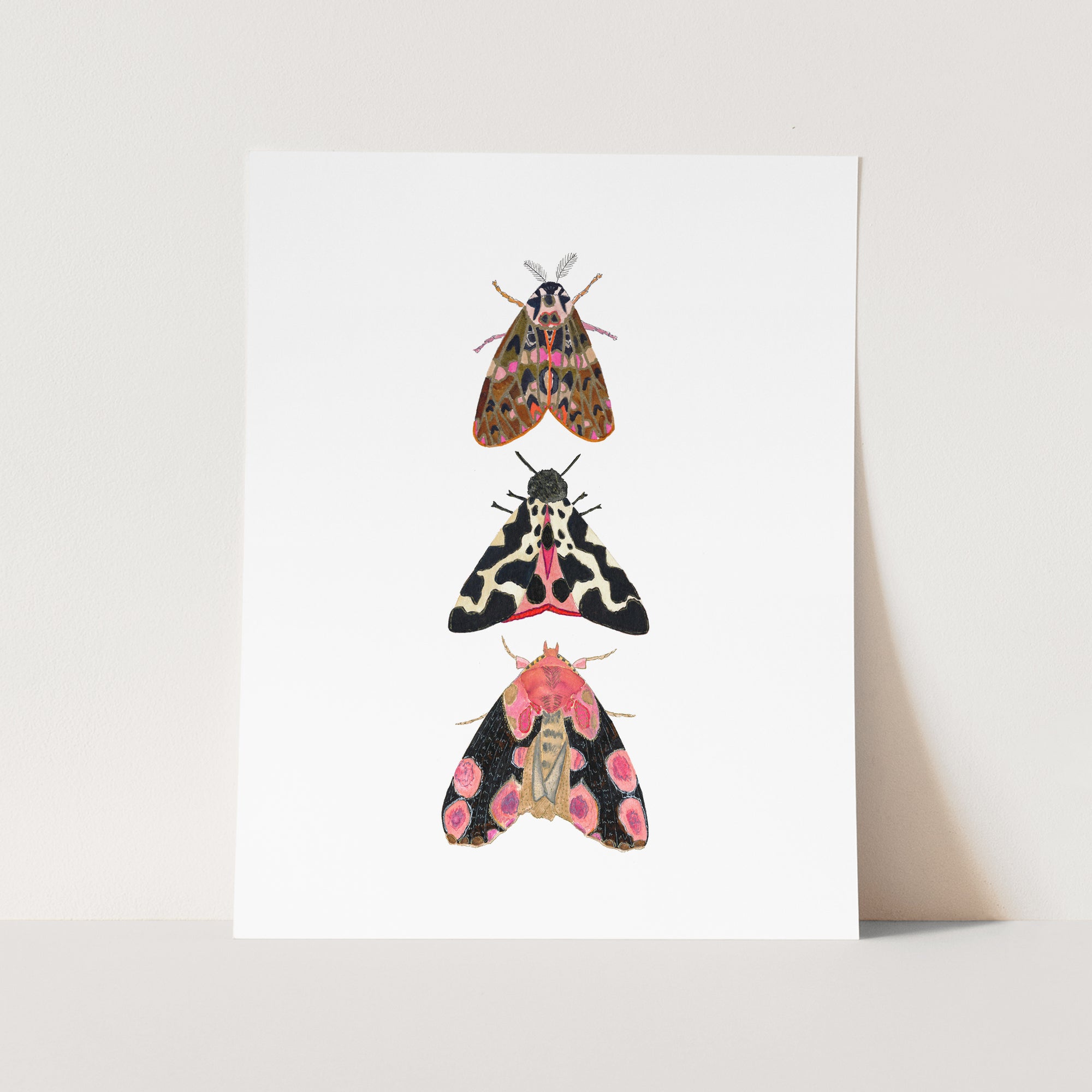 a card with three moths on it