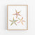 three starfishs in watercolor on a white background