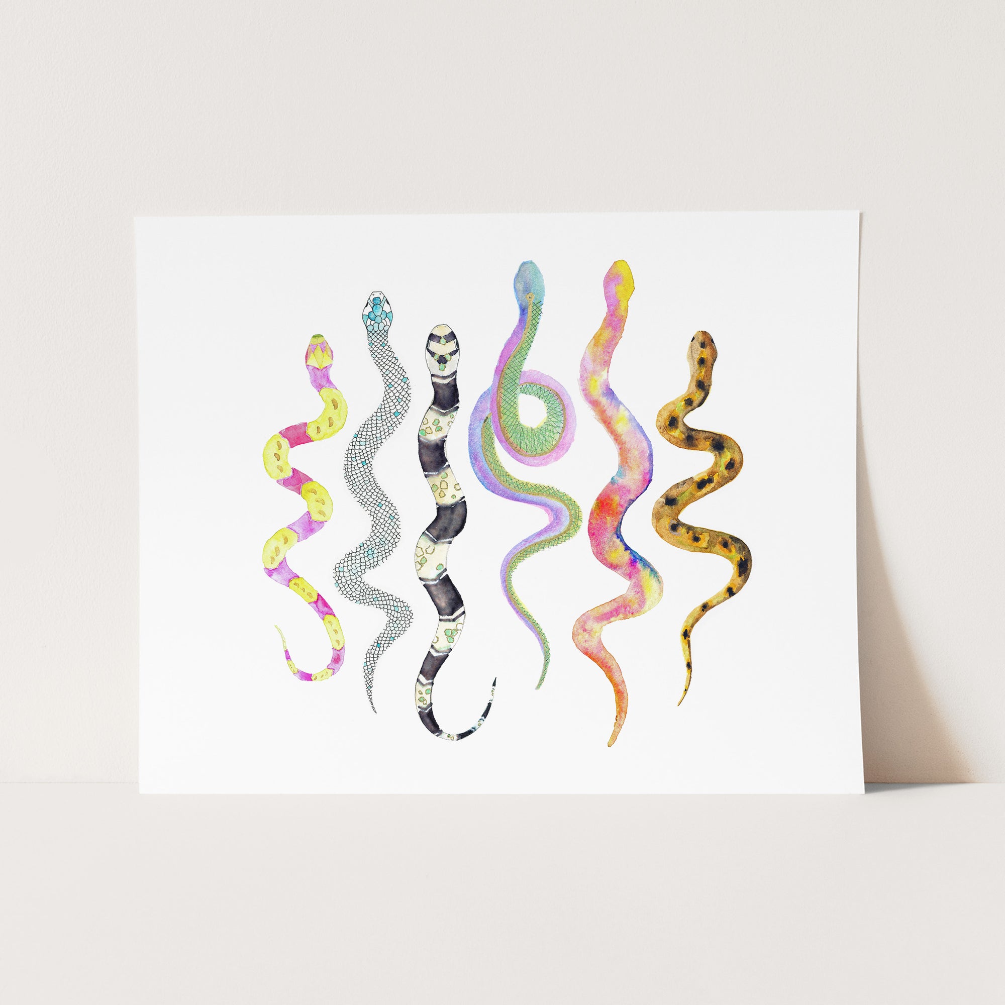 a card with a picture of a snake and a snake on it