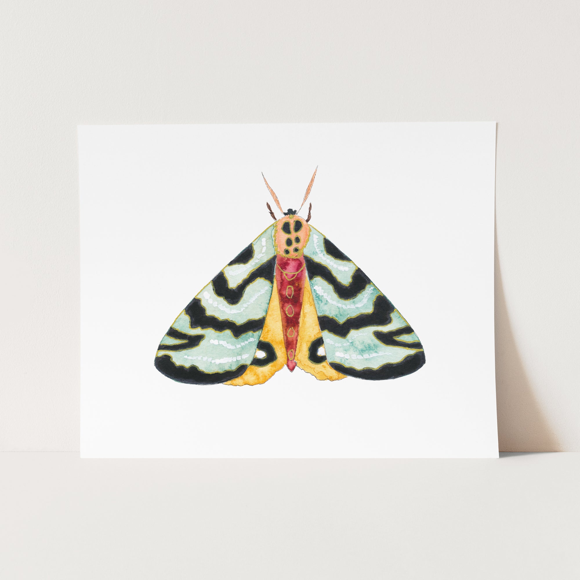 a card with a picture of a butterfly on it