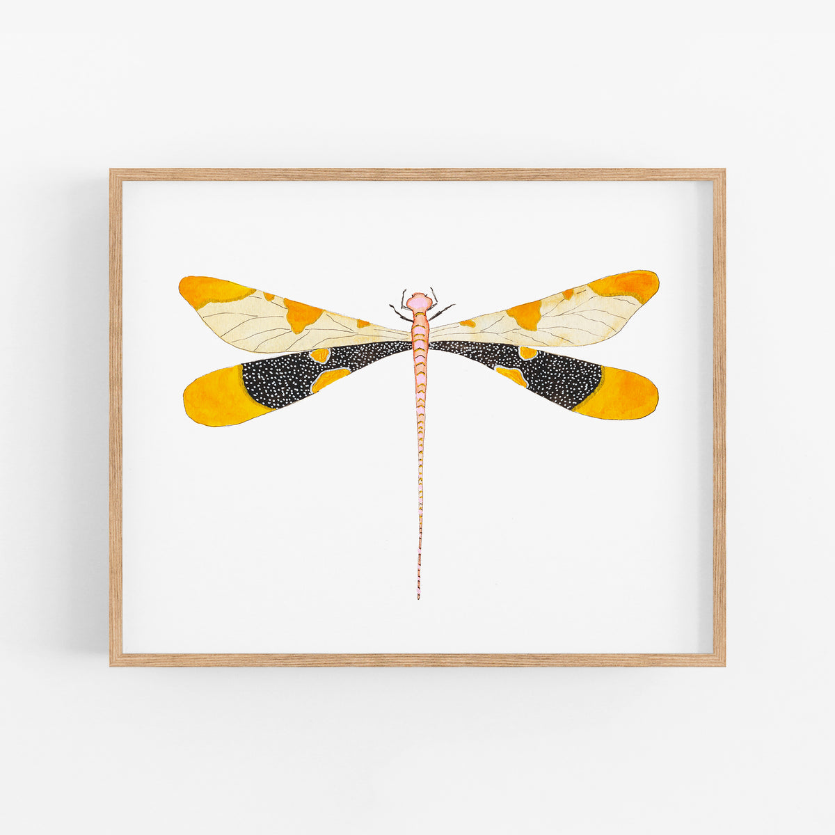 a picture of a yellow and black dragonfly