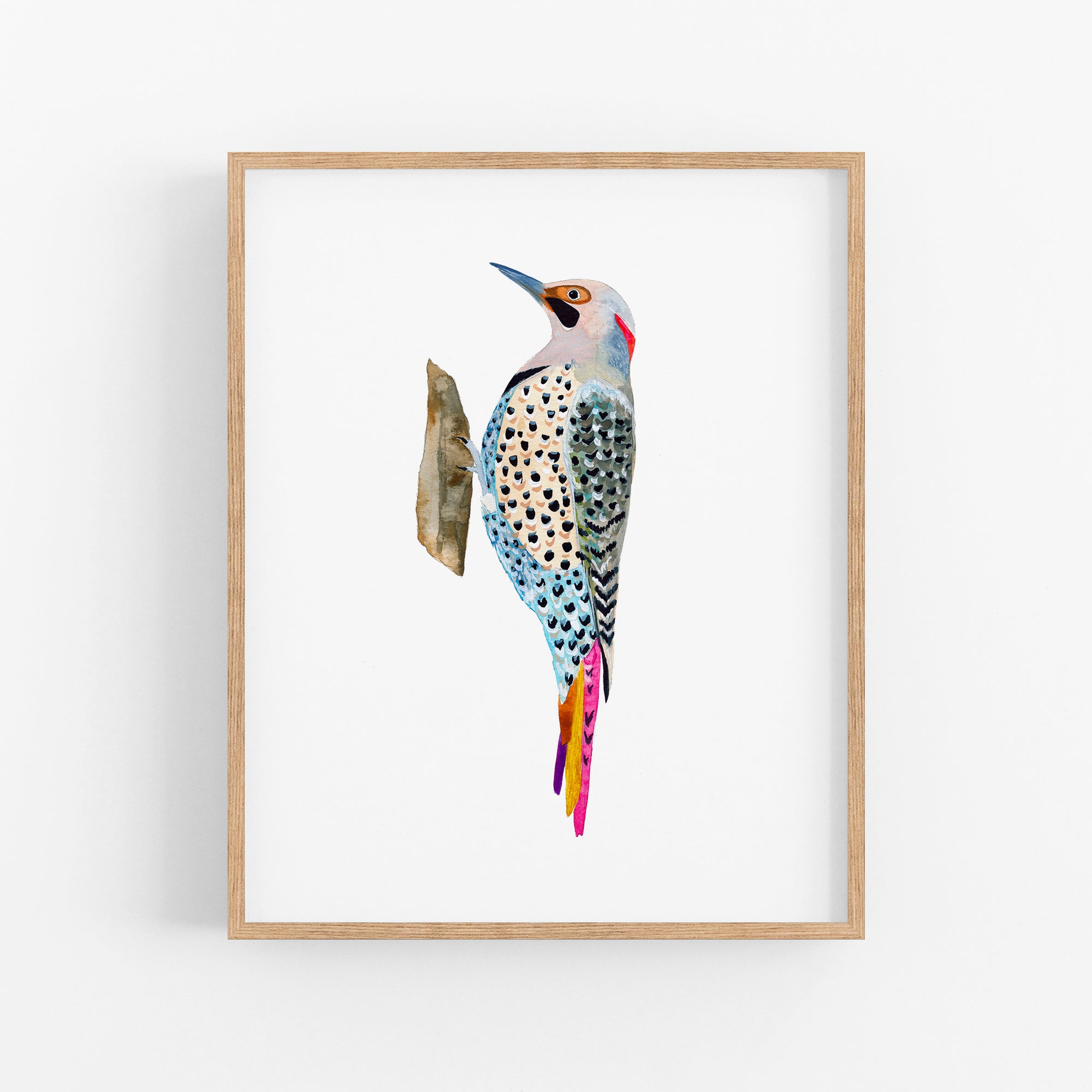 a picture of a colorful bird on a white background