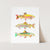 a card with three colorful fish on it