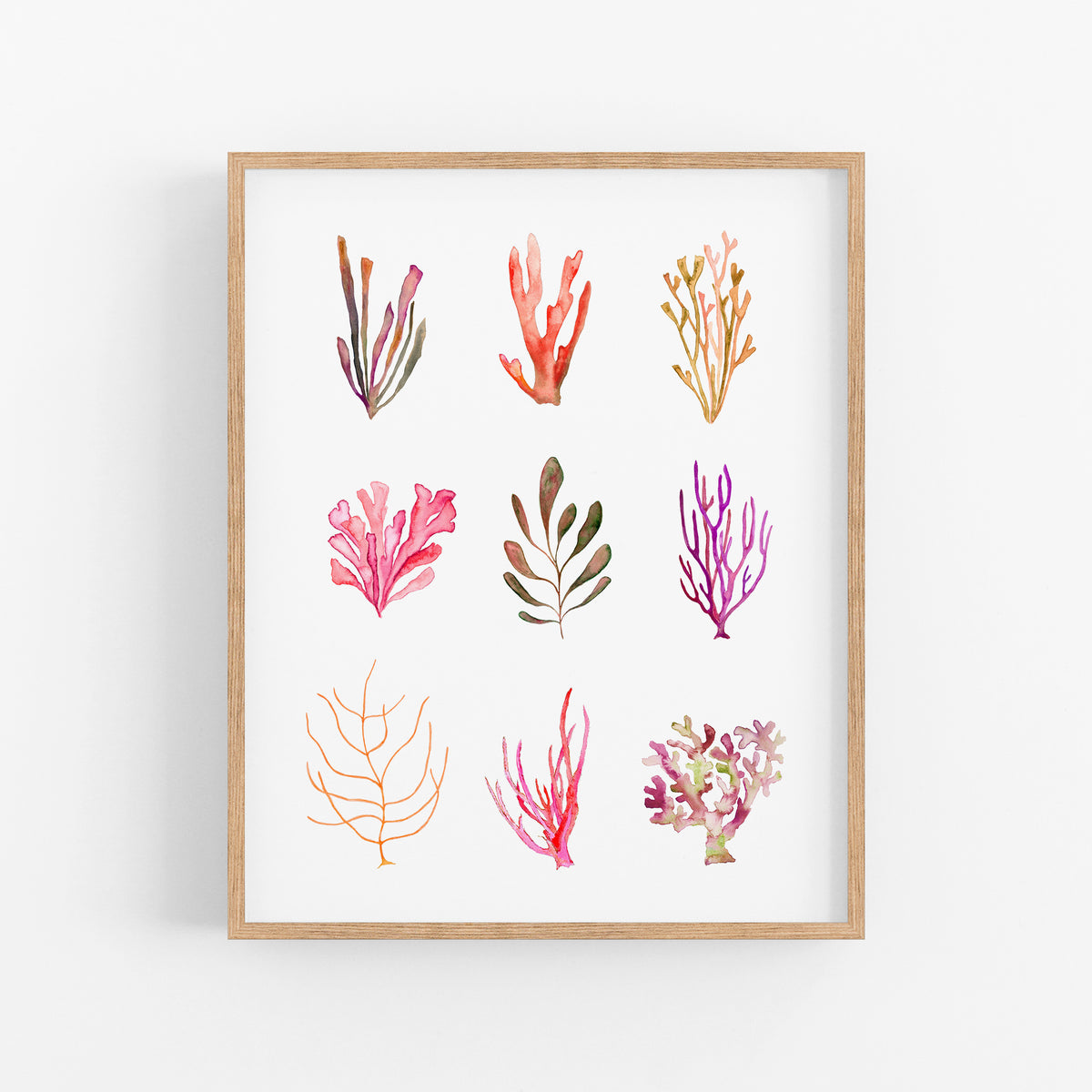 a picture of a bunch of plants on a white wall