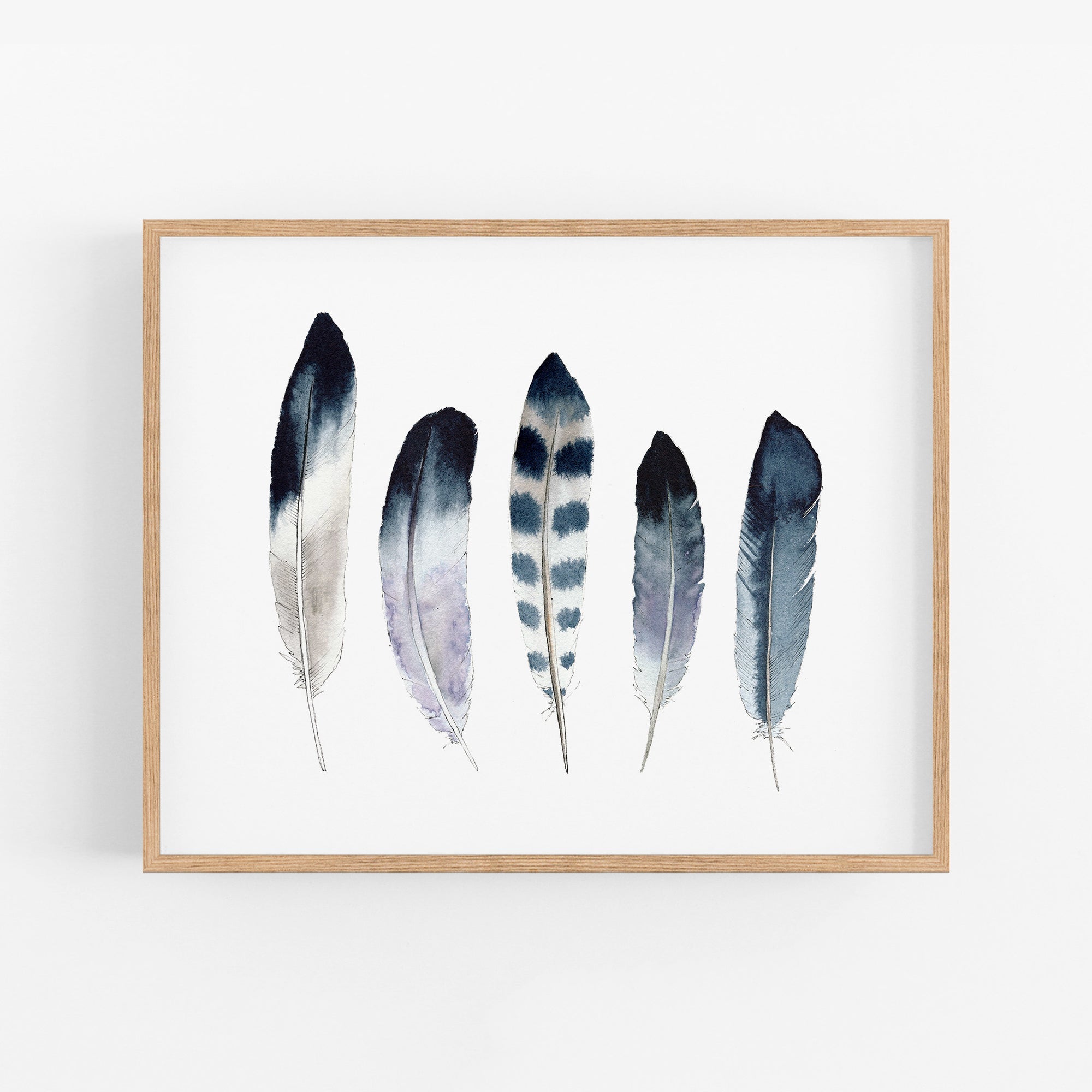 a picture of three feathers in a row