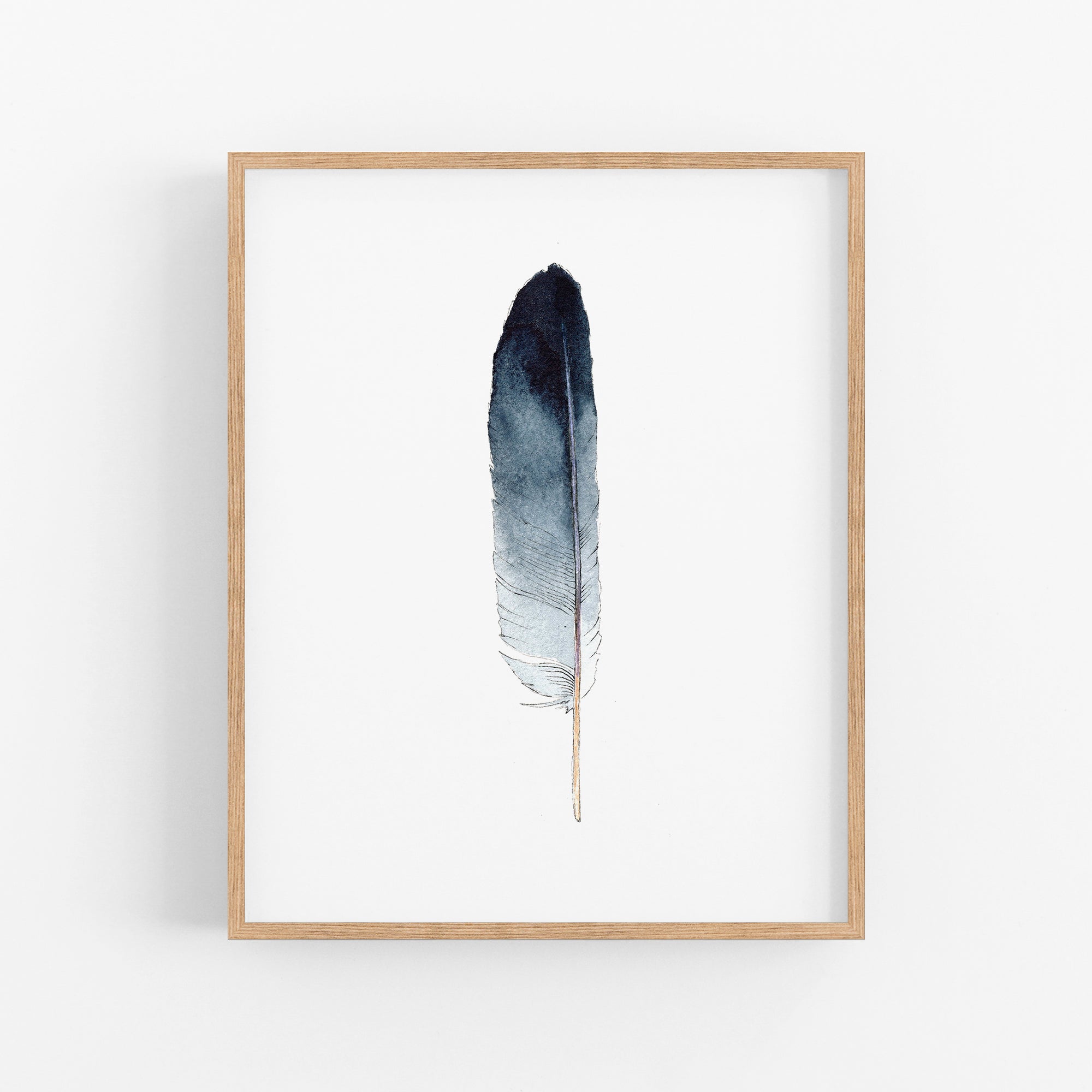 a black and white feather on a white background