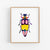 a picture of a colorful beetle on a white background