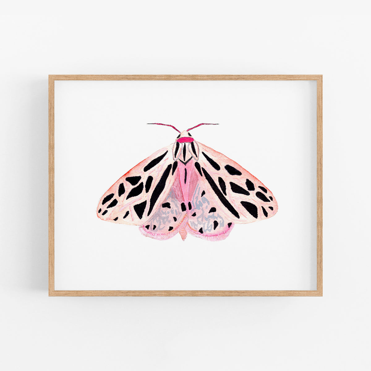 a picture of a pink and black butterfly