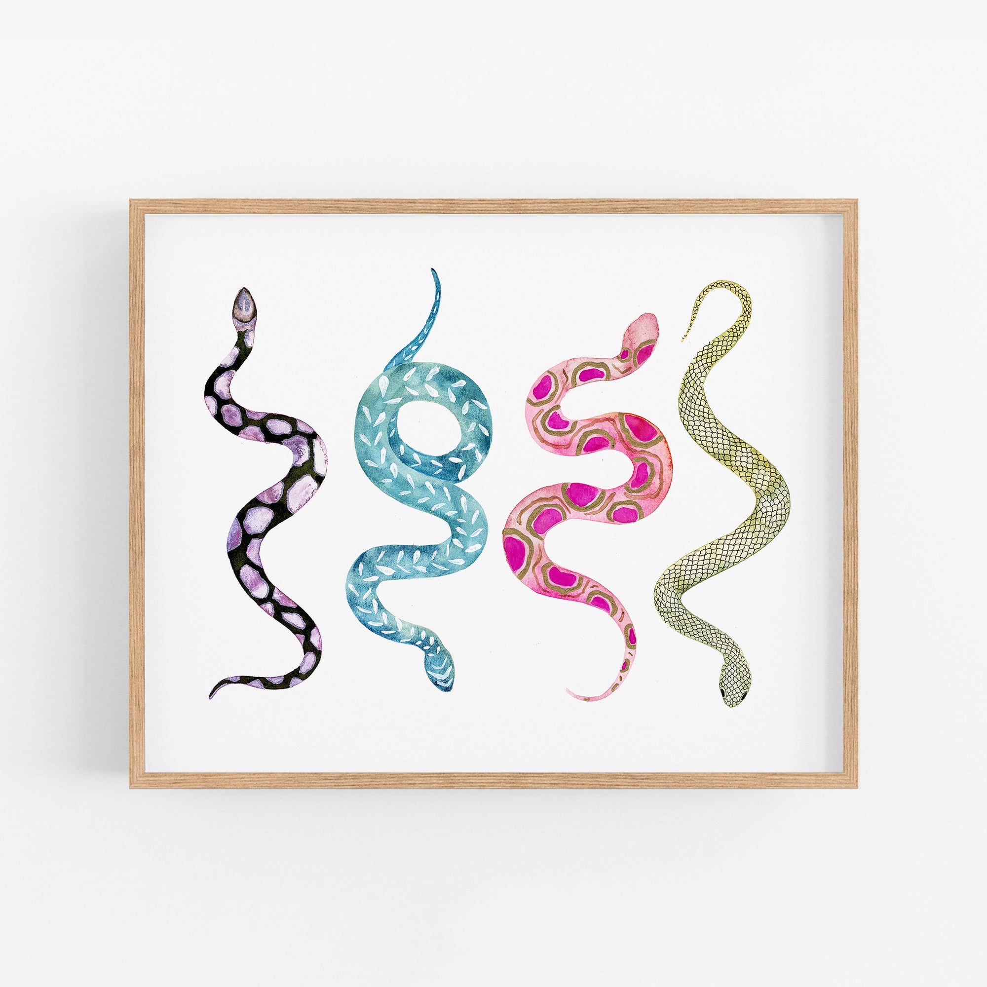 a picture of a snake on a white background