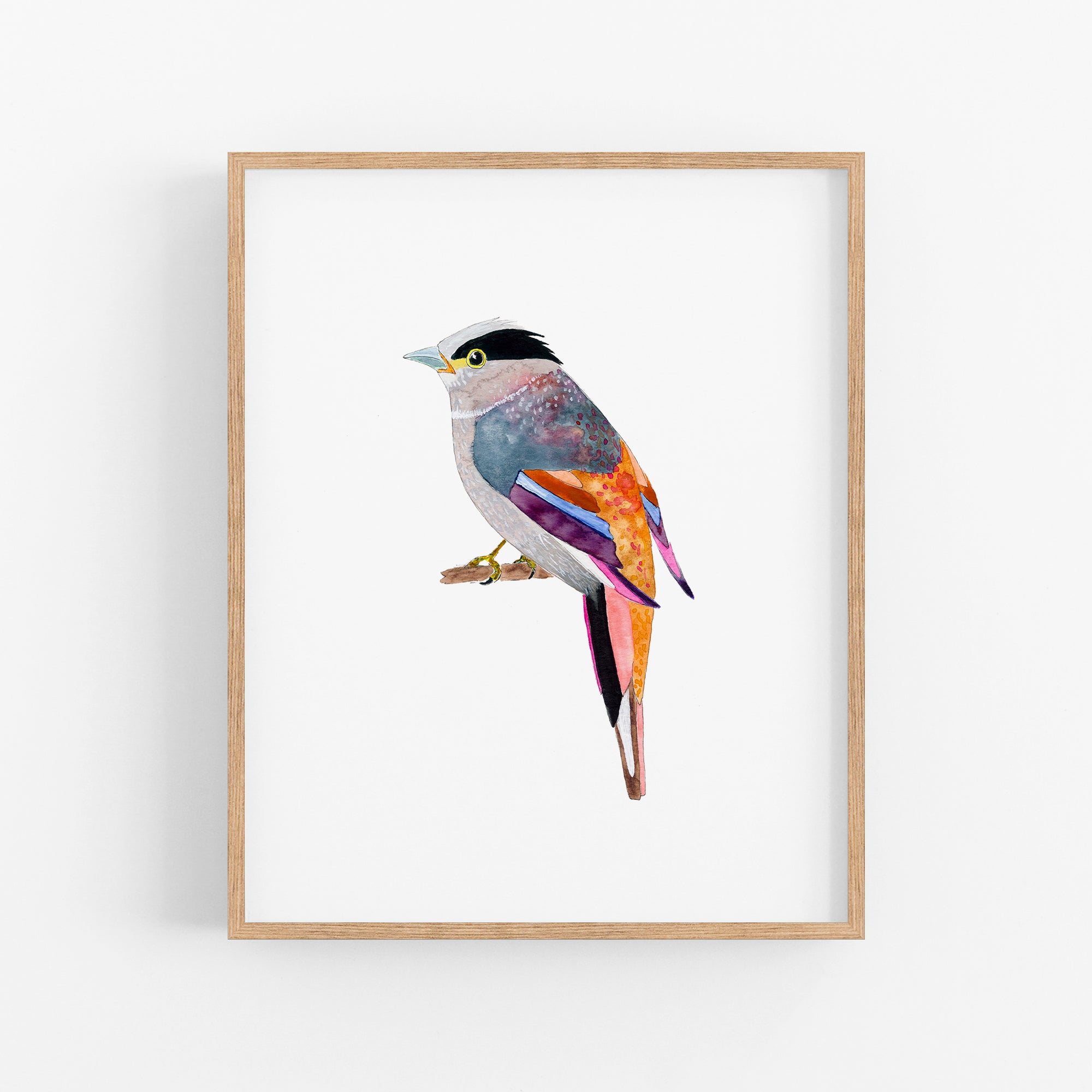 a colorful bird sitting on top of a wooden frame