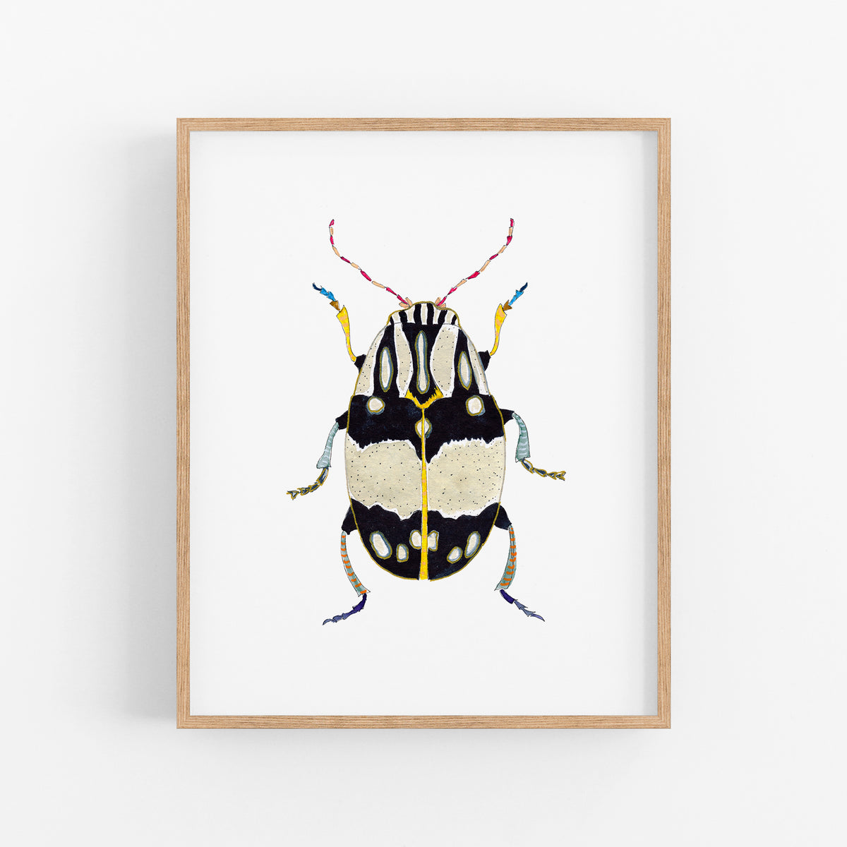 a framed picture of a beetle on a white wall