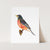 a colorful bird sitting on top of a piece of paper