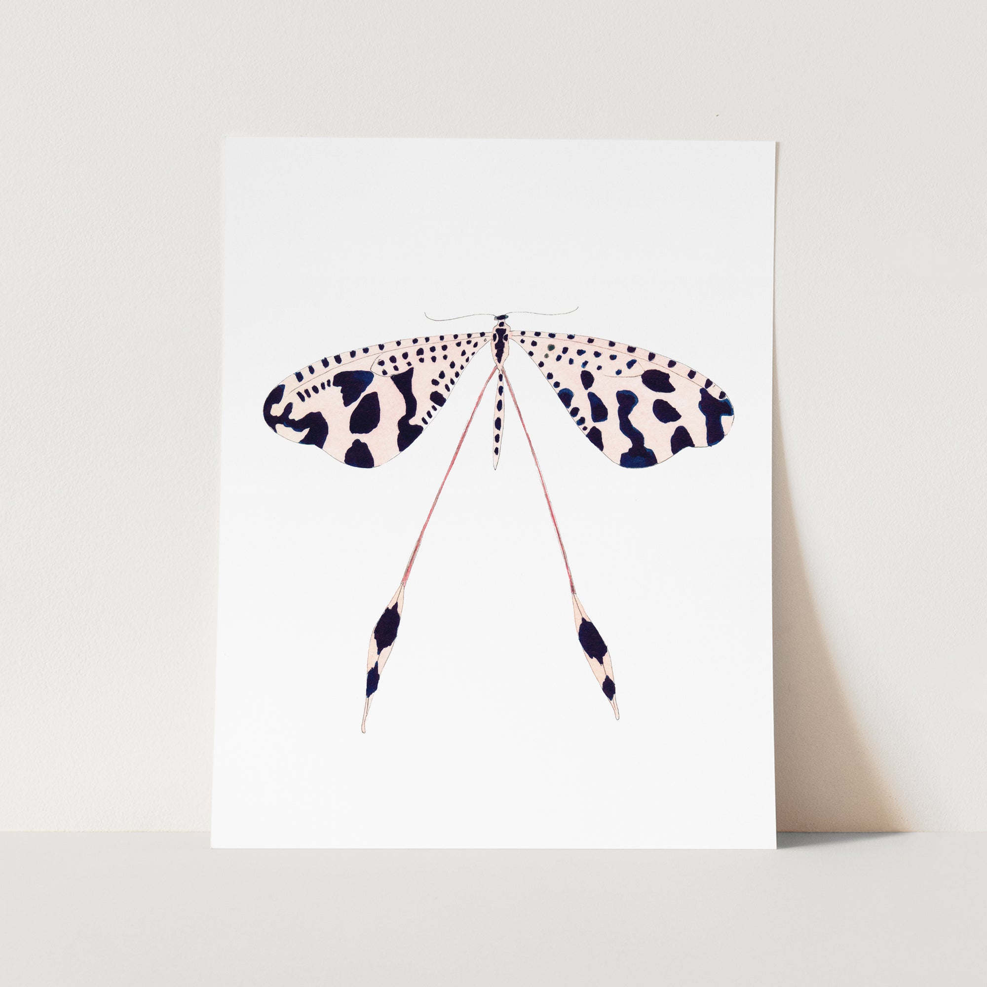 a card with a picture of a butterfly on it