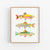a painting of three rainbow fish on a white background