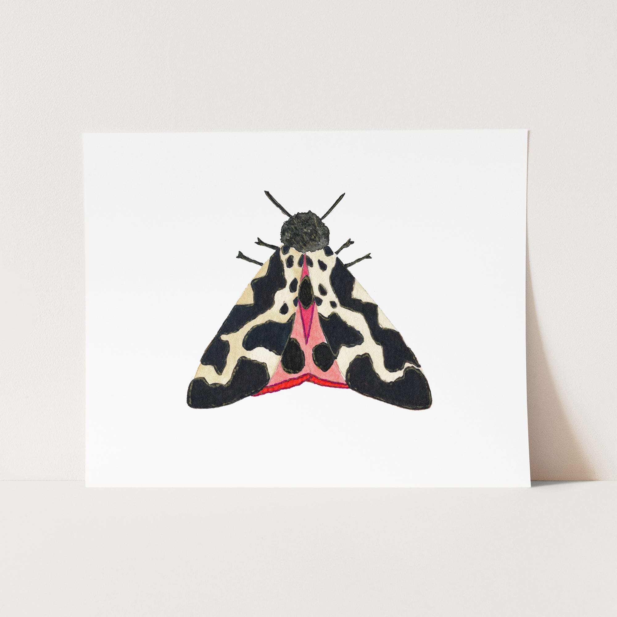 a card with a picture of a moth on it