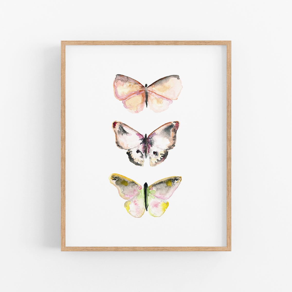 a picture of three butterflies on a white background