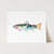 a painting of a fish on a white background