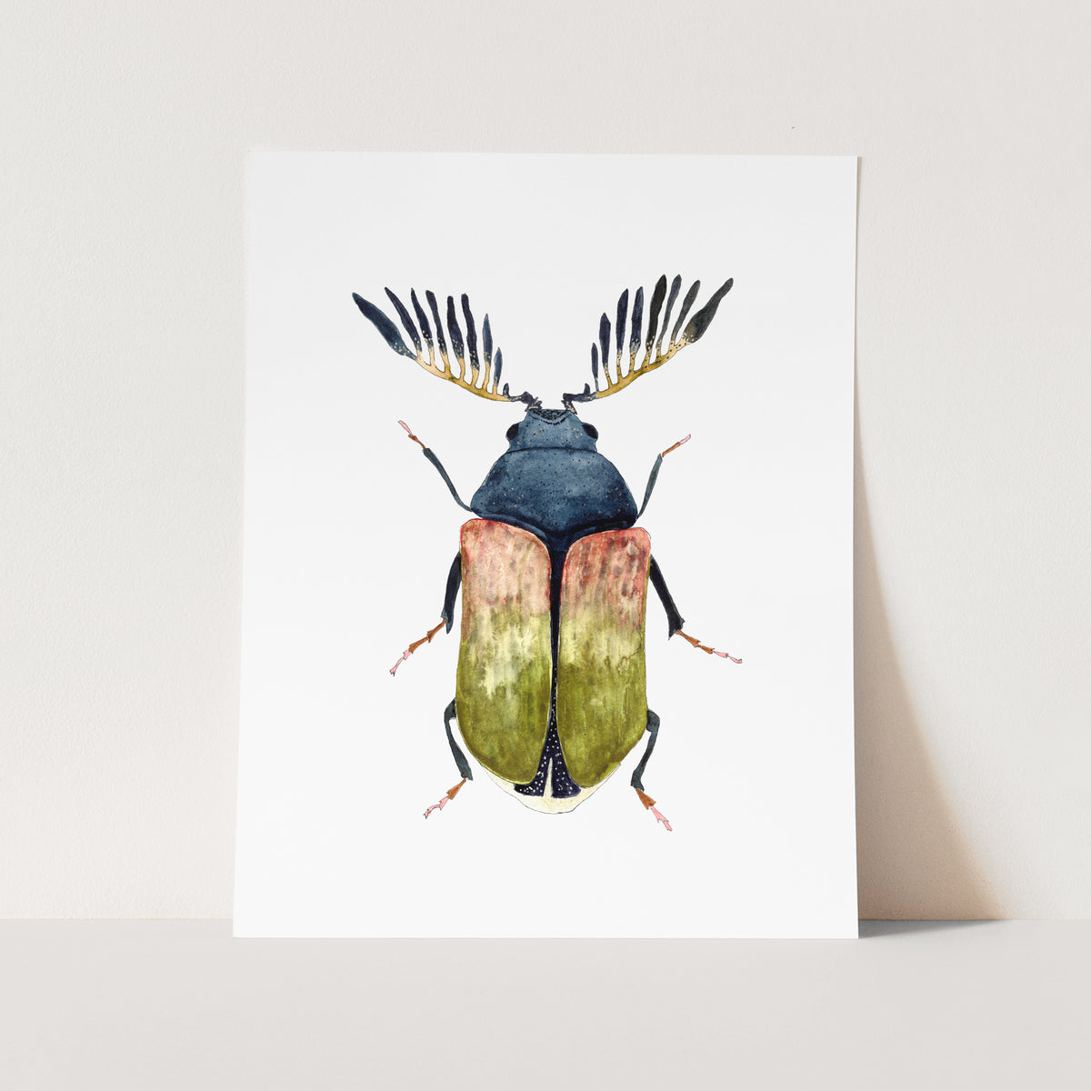 a card with a picture of a beetle on it