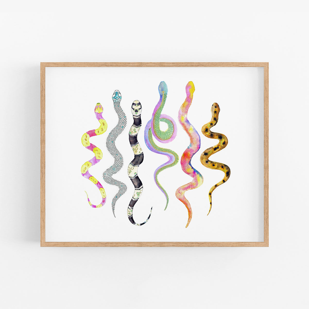 a painting of a snake and a snake on a white wall