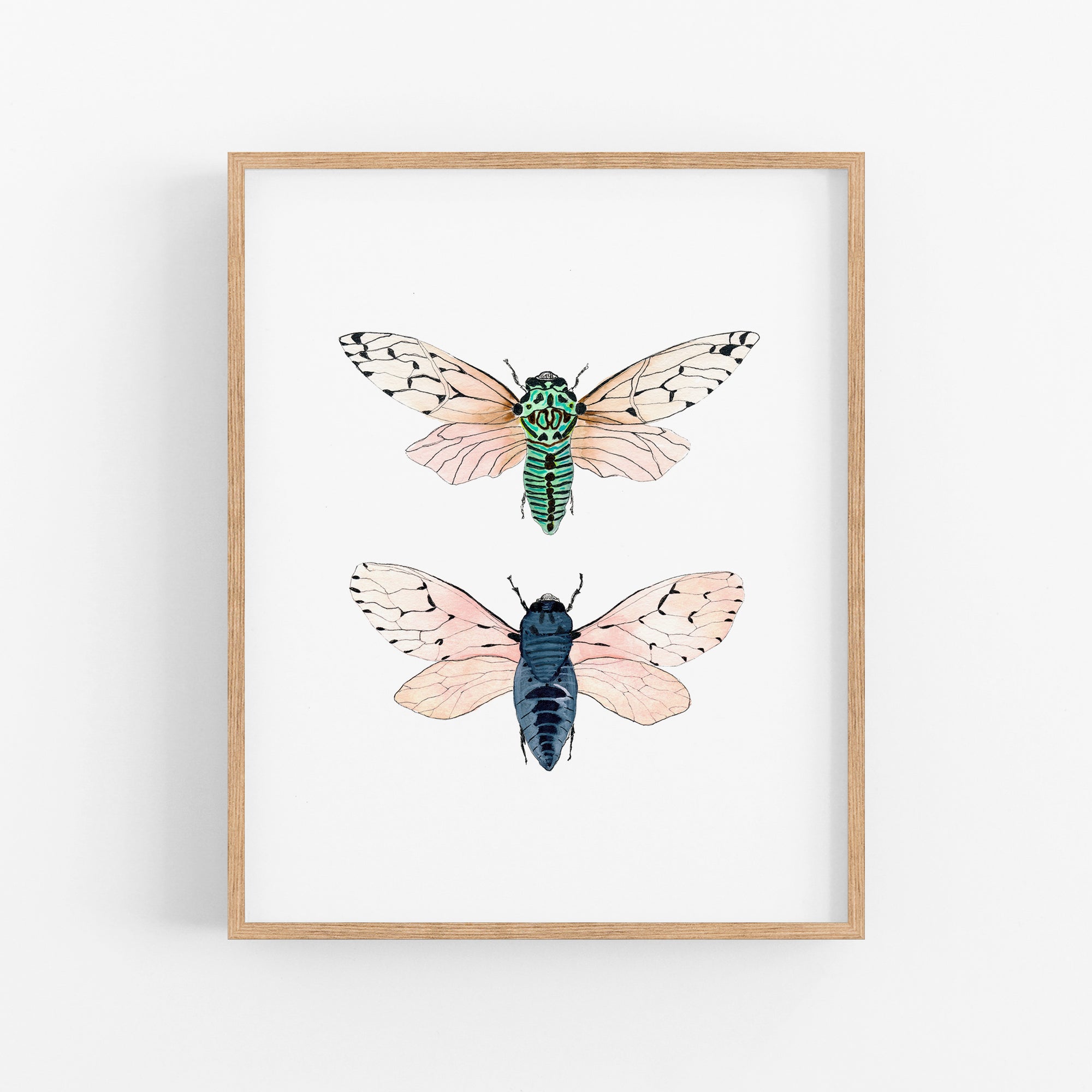 a picture of two moths on a white wall