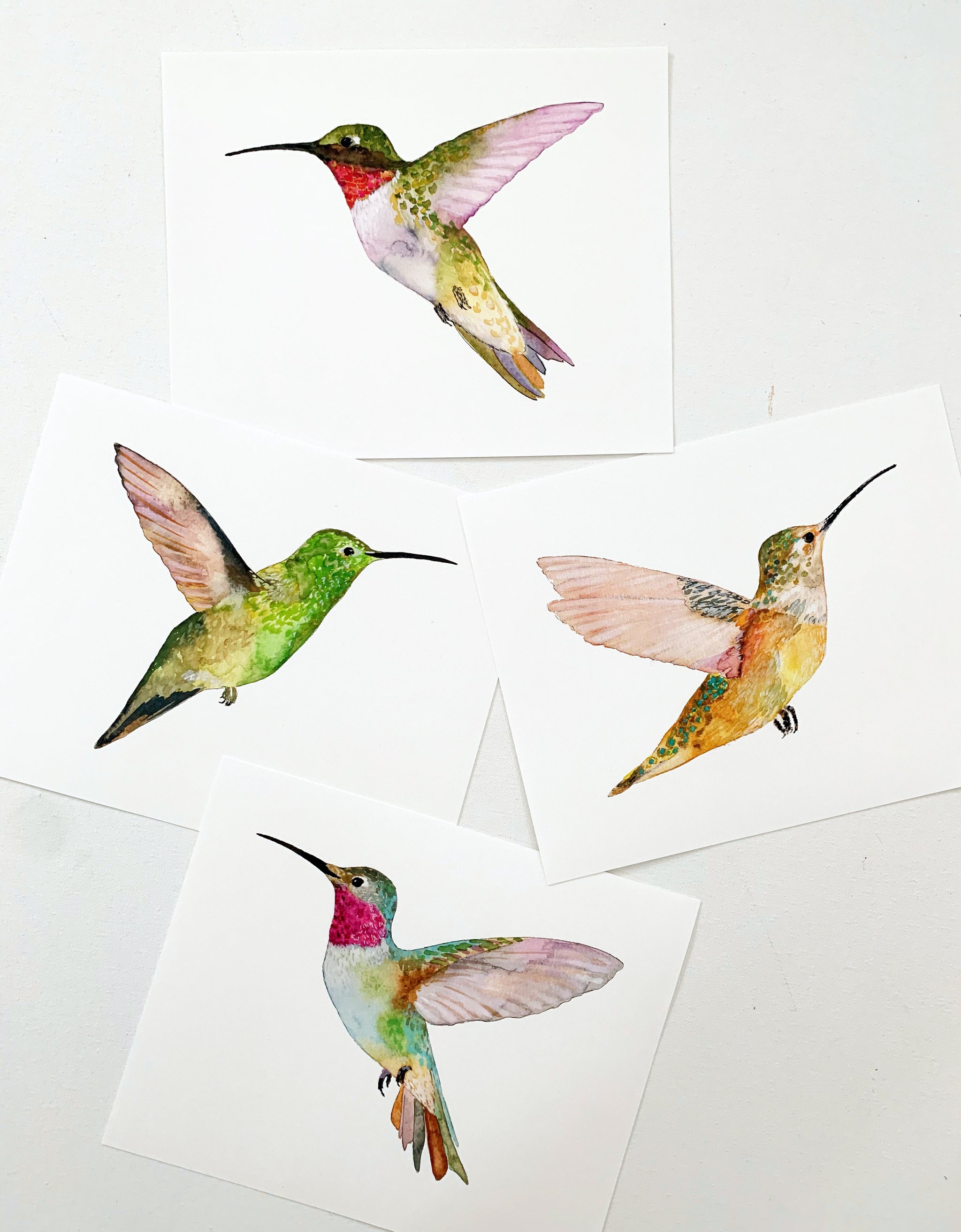 berylline hummingbird