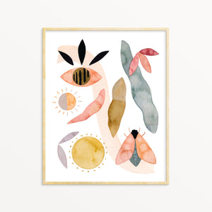 Sun Moth