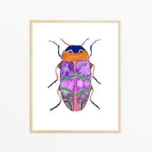 Beetle No. 26